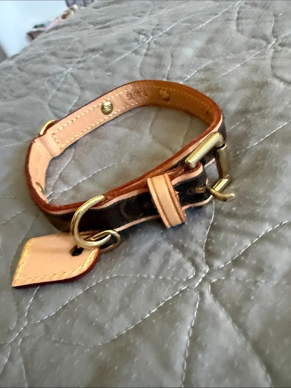 Louis Vuitton Barter Dog collar